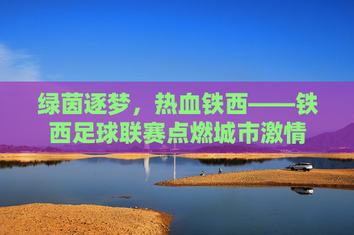 绿茵逐梦，热血铁西——铁西足球联赛点燃城市激情