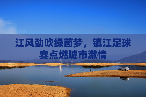 江风劲吹绿茵梦,镇江足球赛点燃城市激情