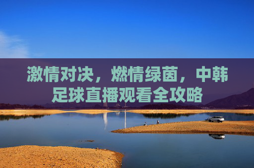 激情对决,燃情绿茵,中韩足球直播观看全攻略