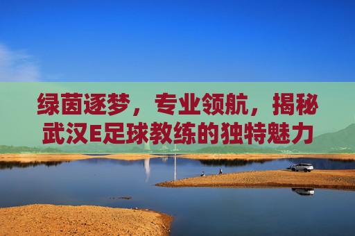 绿茵逐梦,专业领航,揭秘武汉E足球教练的独特魅力