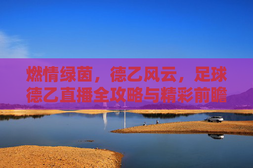 燃情绿茵,德乙风云,足球德乙直播全攻略与精彩前瞻