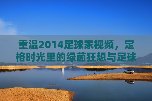 重温2014足球家视频,定格时光里的绿茵狂想与足球记忆