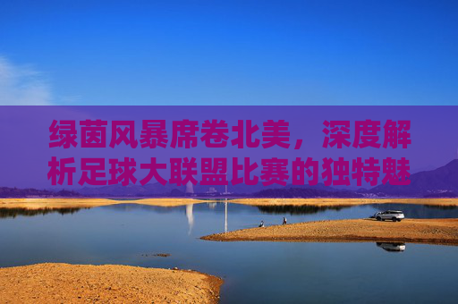 绿茵风暴席卷北美,深度解析足球大联盟比赛的独特魅力与崛起之路