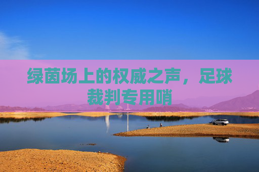 绿茵场上的权威之声,足球裁判专用哨