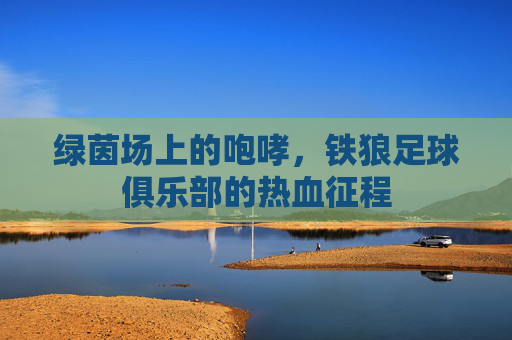 绿茵场上的咆哮，铁狼足球俱乐部的热血征程