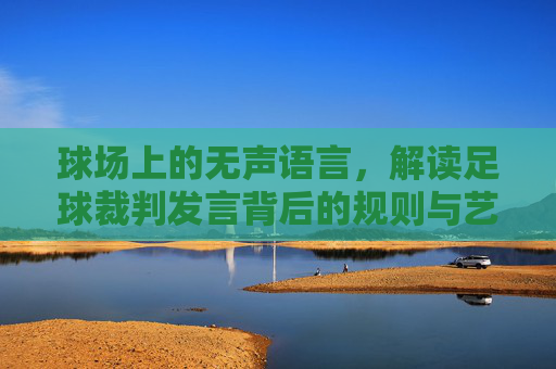 球场上的无声语言,解读足球裁判发言背后的规则与艺术