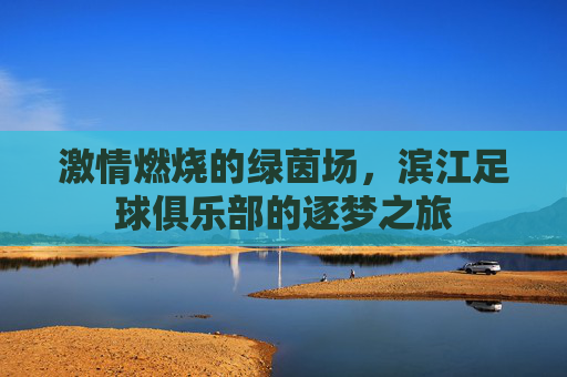 激情燃烧的绿茵场,滨江足球俱乐部的逐梦之旅