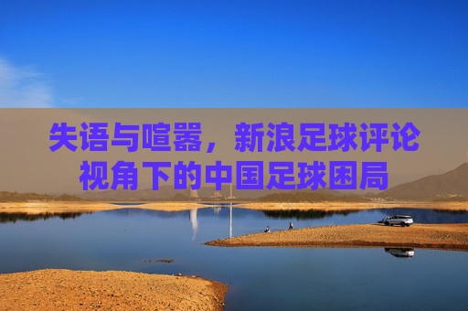 失语与喧嚣，新浪足球评论视角下的中国足球困局