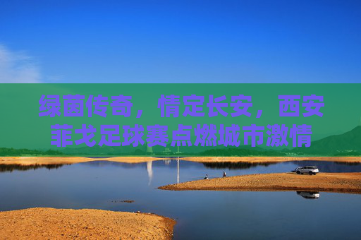 绿茵传奇,情定长安,西安菲戈足球赛点燃城市激情
