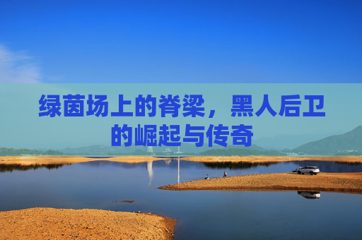 绿茵场上的脊梁,黑人后卫的崛起与传奇