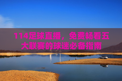 114足球直播，免费畅看五大联赛的球迷必备指南