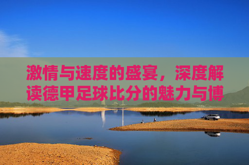 激情与速度的盛宴,深度解读德甲足球比分的魅力与博弈