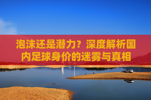 泡沫还是潜力?深度解析国内足球身价的迷雾与真相