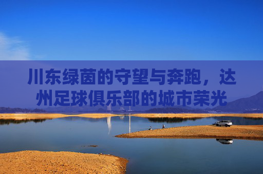 川东绿茵的守望与奔跑,达州足球俱乐部的城市荣光