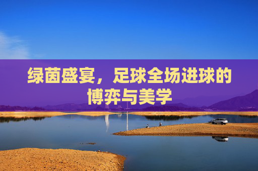 绿茵盛宴,足球全场进球的博弈与美学