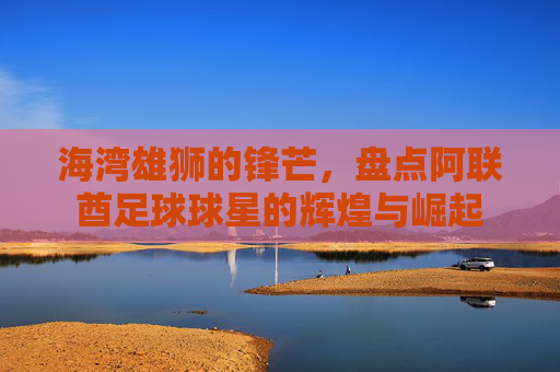 海湾雄狮的锋芒,盘点阿联酋足球球星的辉煌与崛起