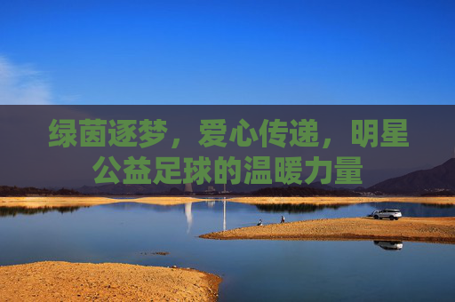 绿茵逐梦,爱心传递,明星公益足球的温暖力量