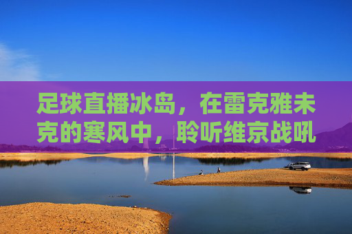 足球直播冰岛,在雷克雅未克的寒风中,聆听维京战吼的回响