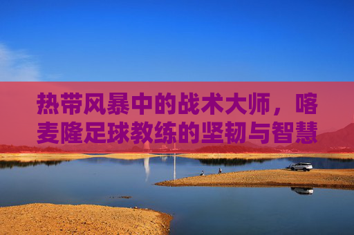 热带风暴中的战术大师,喀麦隆足球教练的坚韧与智慧