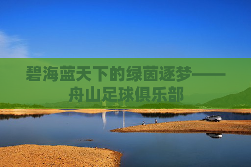 碧海蓝天下的绿茵逐梦——舟山足球俱乐部