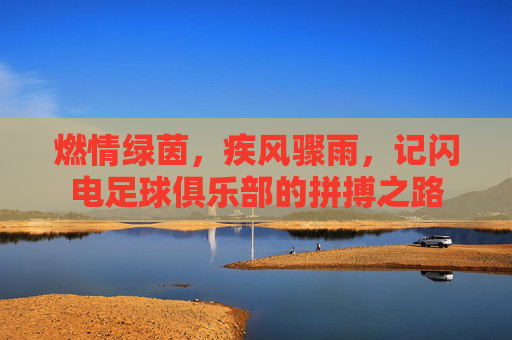燃情绿茵,疾风骤雨,记闪电足球俱乐部的拼搏之路