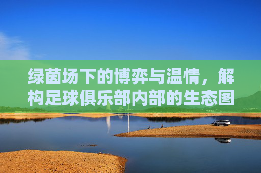 绿茵场下的博弈与温情,解构足球俱乐部内部的生态图谱