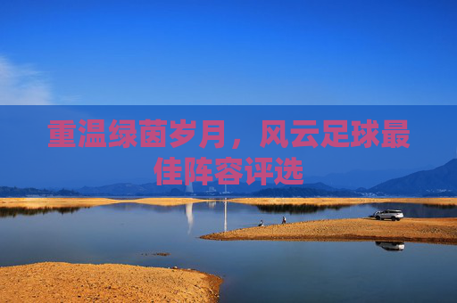 重温绿茵岁月,风云足球最佳阵容评选