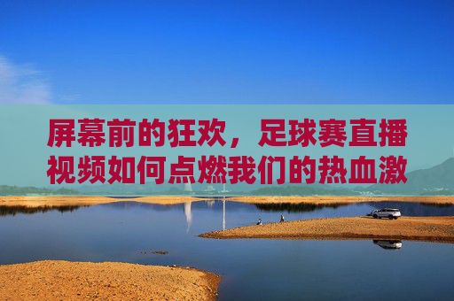 屏幕前的狂欢,足球赛直播视频如何点燃我们的热血激情