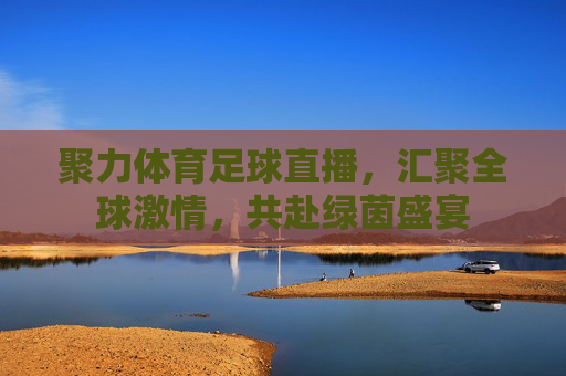 聚力体育足球直播,汇聚全球激情,共赴绿茵盛宴