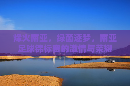 烽火南亚,绿茵逐梦,南亚足球锦标赛的激情与荣耀