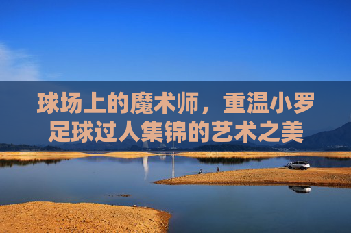 球场上的魔术师,重温小罗足球过人集锦的艺术之美