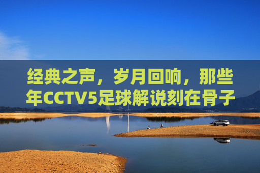 经典之声,岁月回响,那些年CCTV5足球解说刻在骨子里的记忆