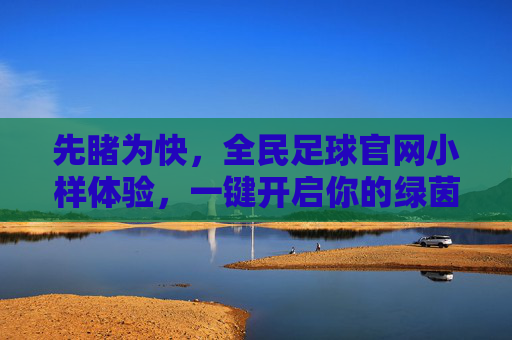 先睹为快，全民足球官网小样体验，一键开启你的绿茵传奇