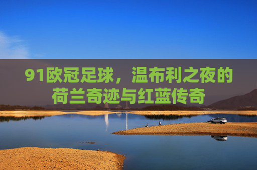 91欧冠足球,温布利之夜的荷兰奇迹与红蓝传奇