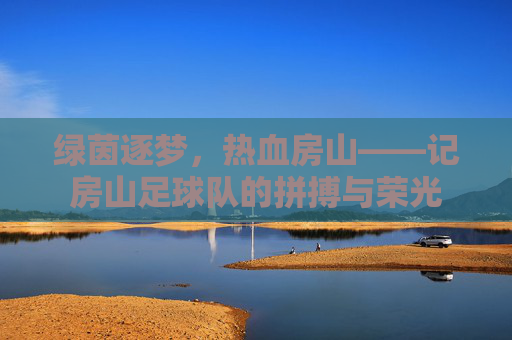 绿茵逐梦,热血房山——记房山足球队的拼搏与荣光