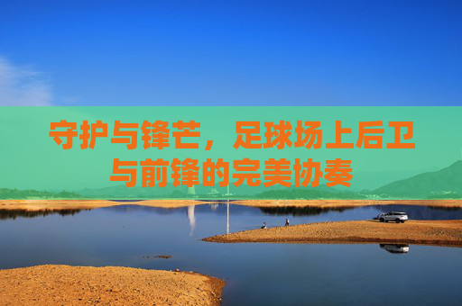 守护与锋芒,足球场上后卫与前锋的完美协奏