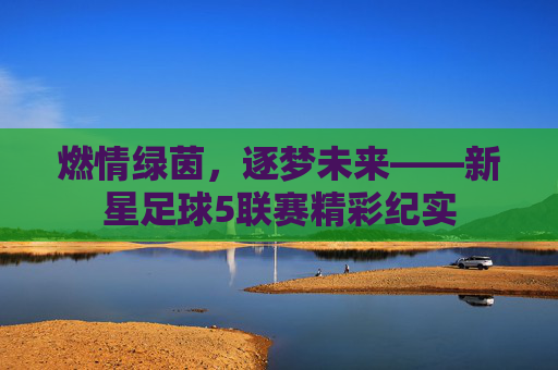 燃情绿茵,逐梦未来——新星足球5联赛精彩纪实