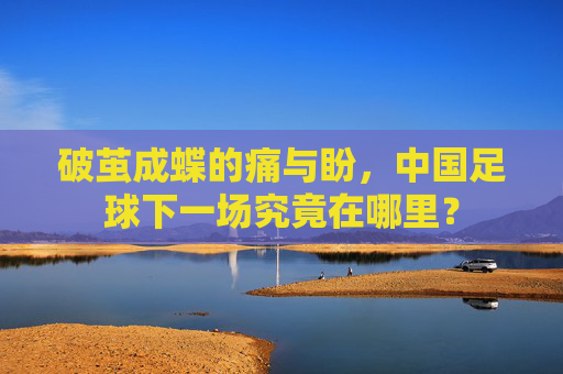 破茧成蝶的痛与盼,中国足球下一场究竟在哪里?
