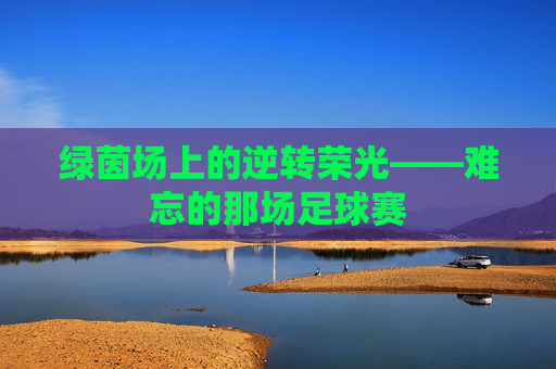 绿茵场上的逆转荣光——难忘的那场足球赛