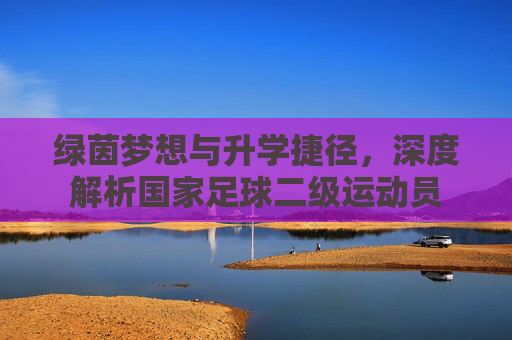 绿茵梦想与升学捷径,深度解析国家足球二级运动员