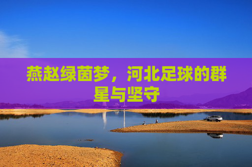 燕赵绿茵梦,河北足球的群星与坚守