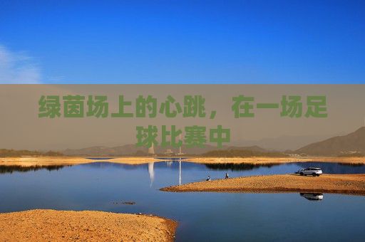 绿茵场上的心跳,在一场足球比赛中