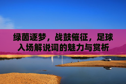绿茵逐梦,战鼓催征,足球入场解说词的魅力与赏析