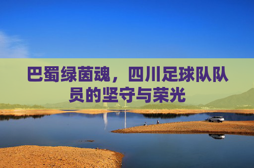 巴蜀绿茵魂,四川足球队队员的坚守与荣光