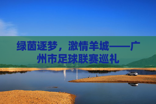 绿茵逐梦，激情羊城——广州市足球联赛巡礼