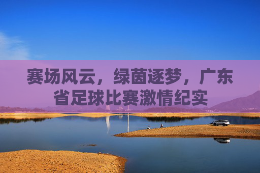 赛场风云,绿茵逐梦,广东省足球比赛激情纪实