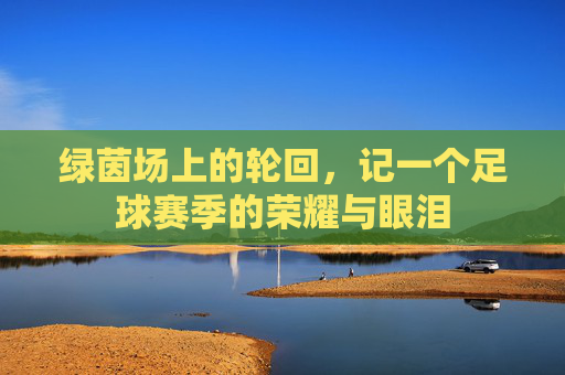 绿茵场上的轮回，记一个足球赛季的荣耀与眼泪