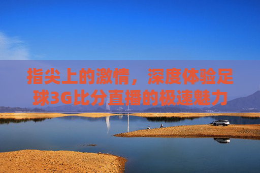 指尖上的激情，深度体验足球3G比分直播的极速魅力
