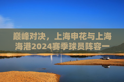 巅峰对决,上海申花与上海海港2024赛季球员阵容一览