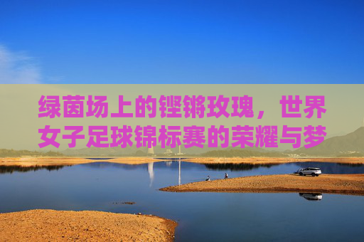 绿茵场上的铿锵玫瑰,世界女子足球锦标赛的荣耀与梦想